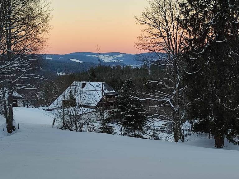 Ferienwohnung Feldberg (Schwarzwald)