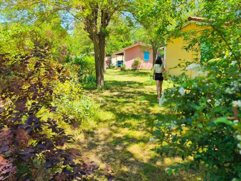 Family-oriented chalet with terrace & heated pool | Pet-friendly — photo 4