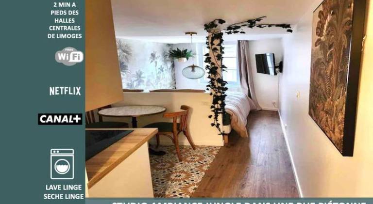 Beautiful holiday apartment | Pet-friendly in Limoges