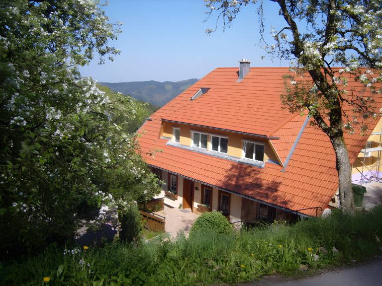 foto17