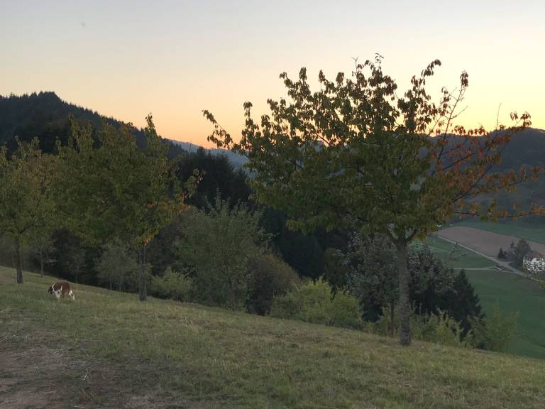 foto20