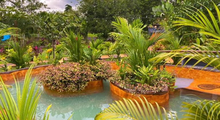 Hotel Heliconias Nature Inn & Hot Springs