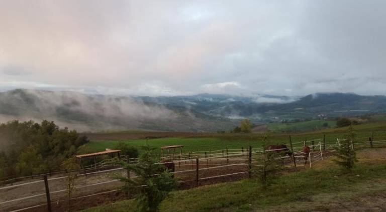 foto45