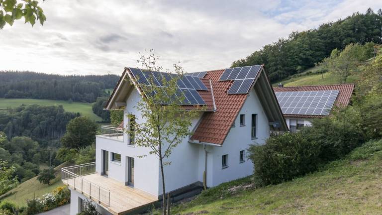 Ferienwohnung Kniebis