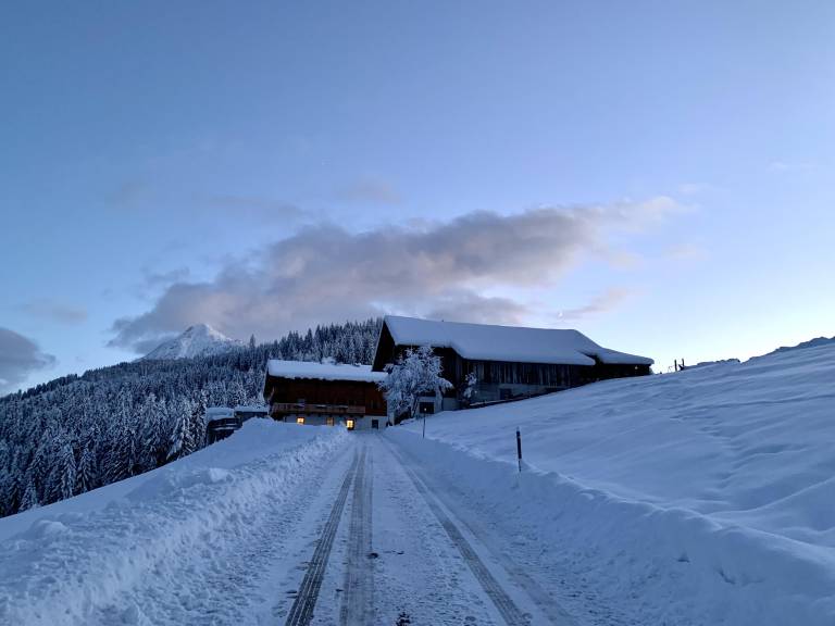 foto11