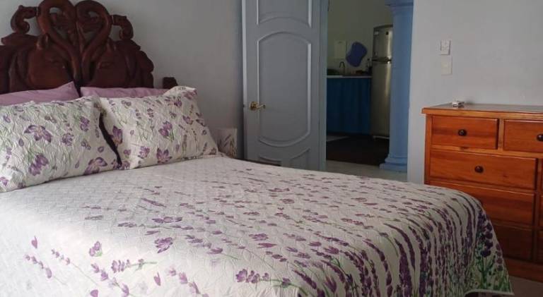 Pleasant apartment with pool | Pets allowed in Cozumel