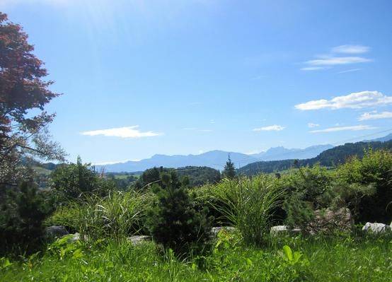 Apartment  Uster District