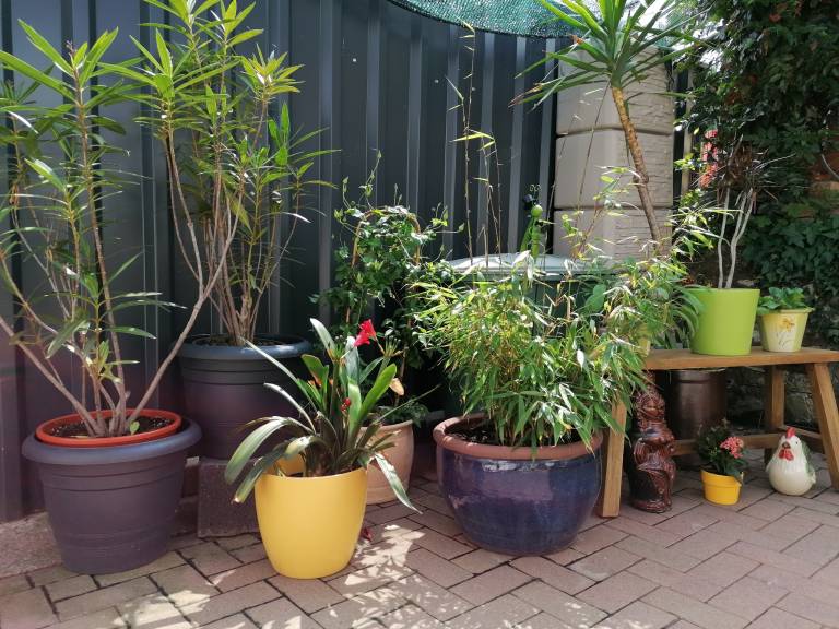 foto14