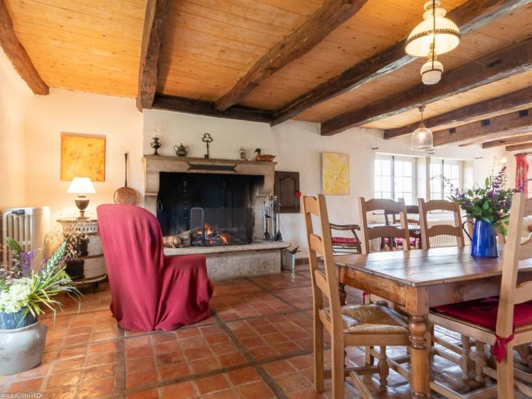 Charming house with fireplace, pet-friendly near Bèze — photo 5
