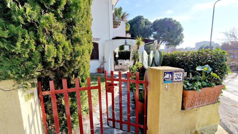 House with garden — photo 3