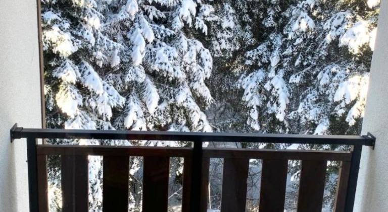 Διαμέρισμα Borovets