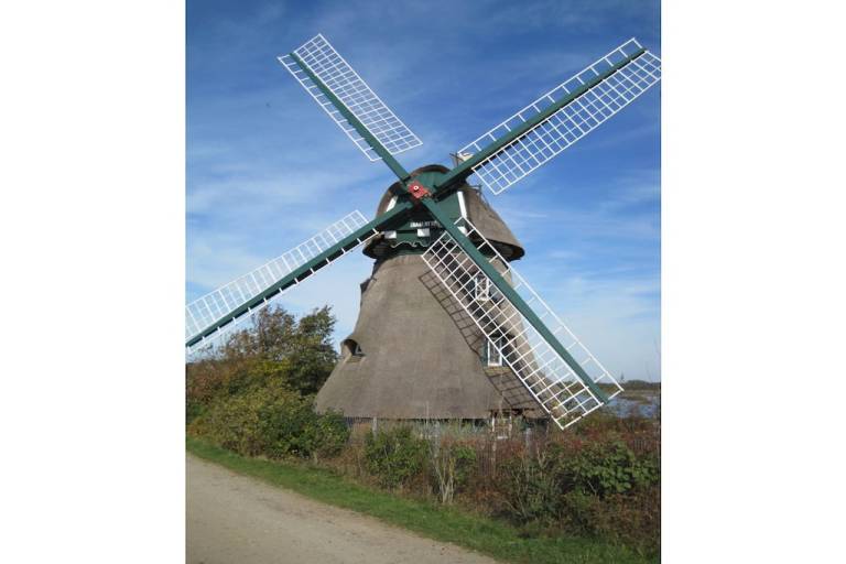 foto18