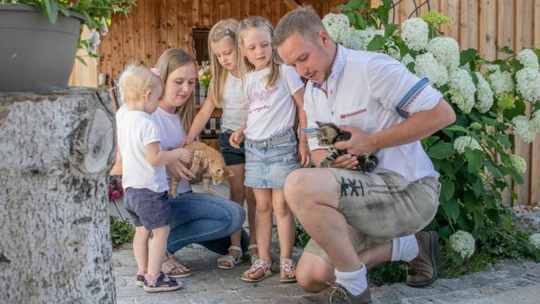Ferienwohnung Wegscheid