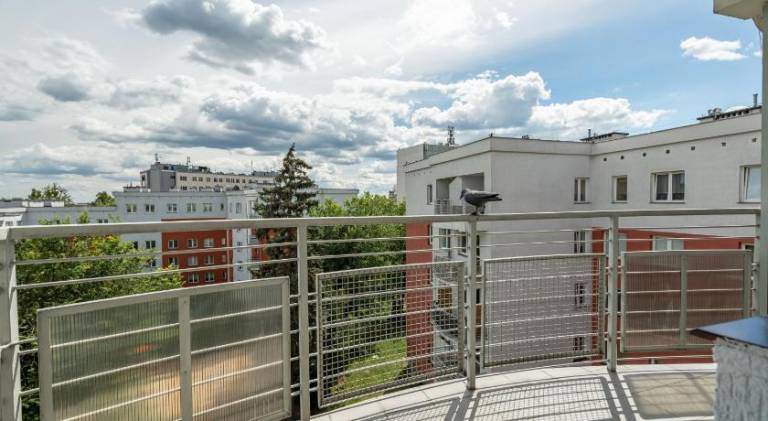 Rental apartment | Dogs allowed — photo 2