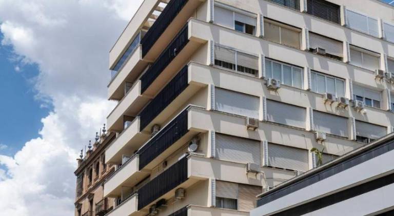 Pleasant rental apartment | Close to Seville Cathedral | Dogs allowed — photo 3
