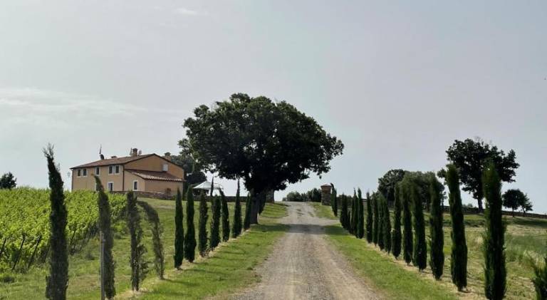 Apartment with garden in Massa Marittima