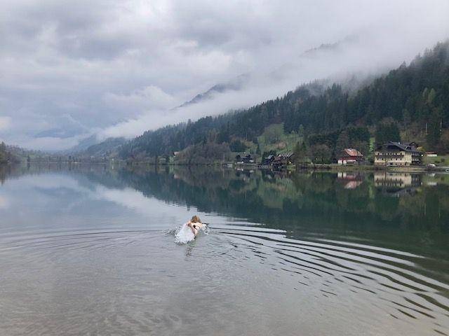 Ferienwohnung in Untersee, Afritz am See für max. 4 Personen Ferienwohnung in Untersee, Afritz am See für max. 4 Personen