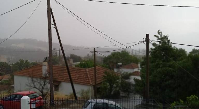foto39