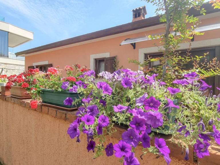 Ferienwohnung  Novigrad