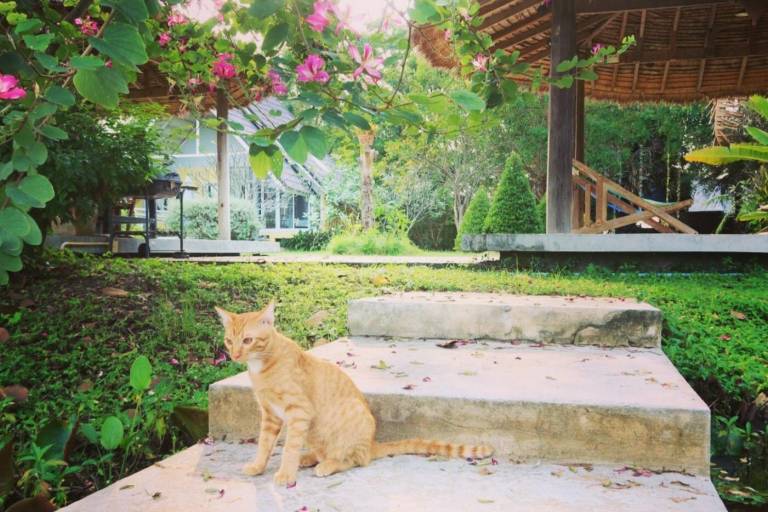 Ban Bang Home Resort in Phetchaburi