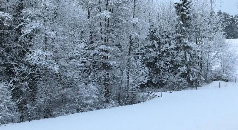 foto6