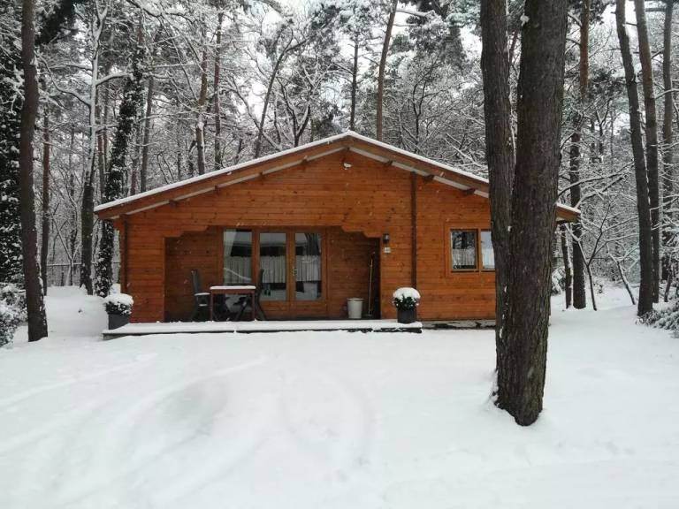 Bospark De Brenkberg Chalet 6 Personen