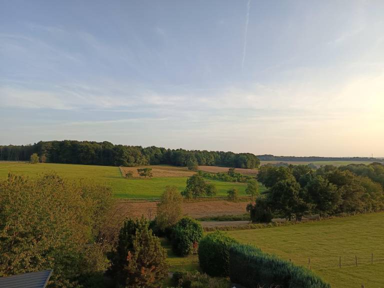 foto1