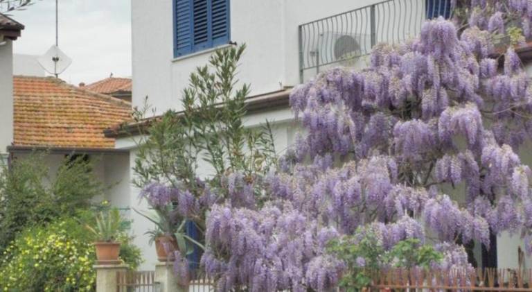 Vacation home with 1 room for 2 persons in Giulianova