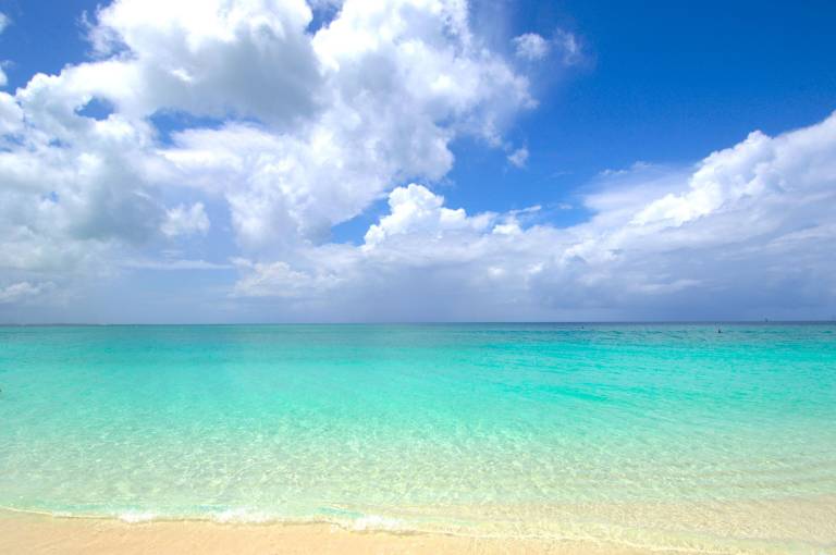 Condo Leeward Settlement