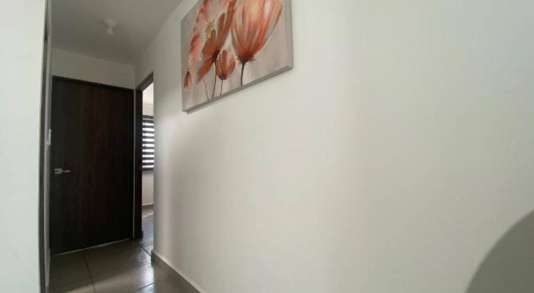 foto33