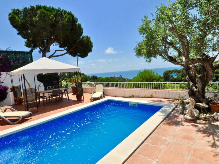 House with barbecue, private pool & garden — photo 4