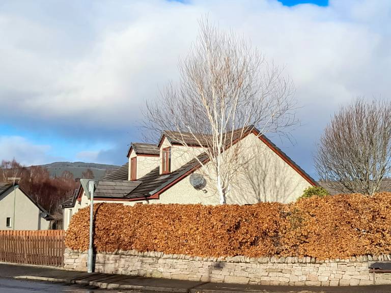 Cottage Aviemore
