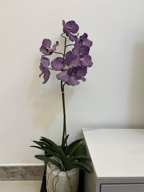foto28