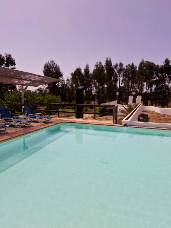 Family-oriented lovely finca with barbecue, private pool & fast internet | Garden view | Pet-friendly — photo 5