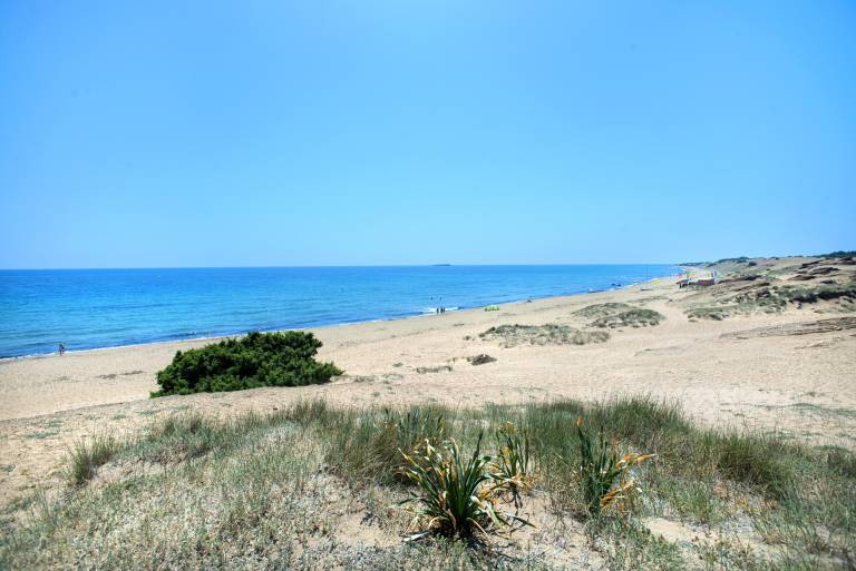 foto17