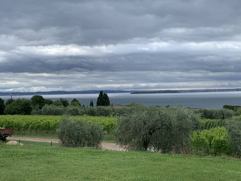 foto9