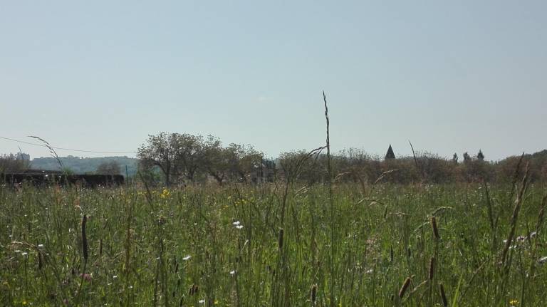 foto9