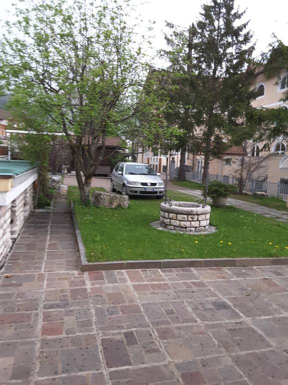 foto1