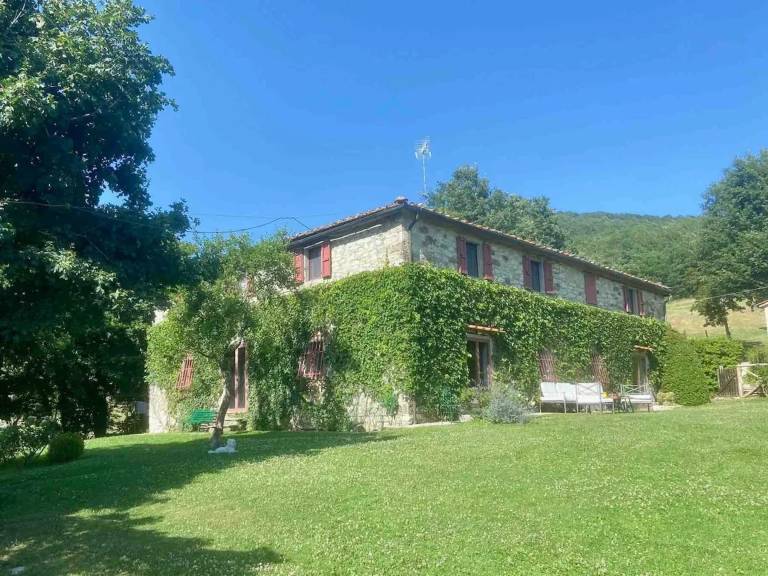 foto39