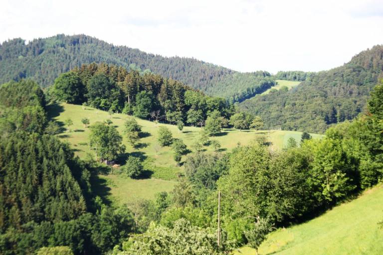 foto19