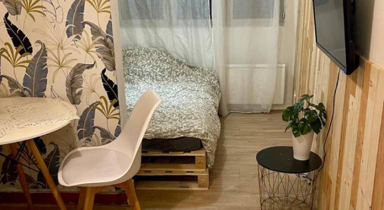 Apartment | Pets allowed in Orléans