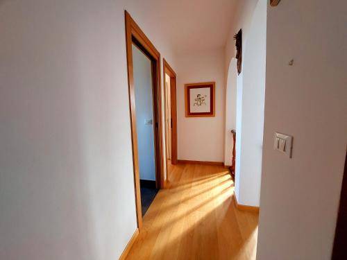 foto8