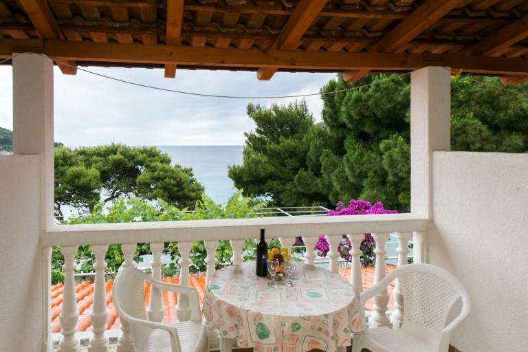 Apartment  Saplunara
