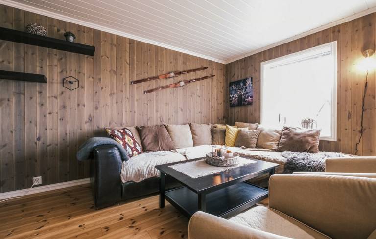 Family cabin with ski in/out in Rauland — photo 3
