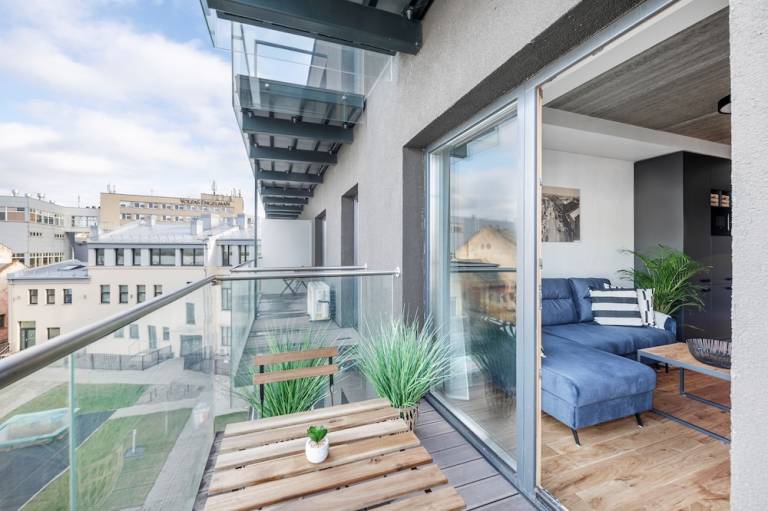 Apartment  Kaunas