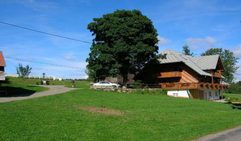 foto8