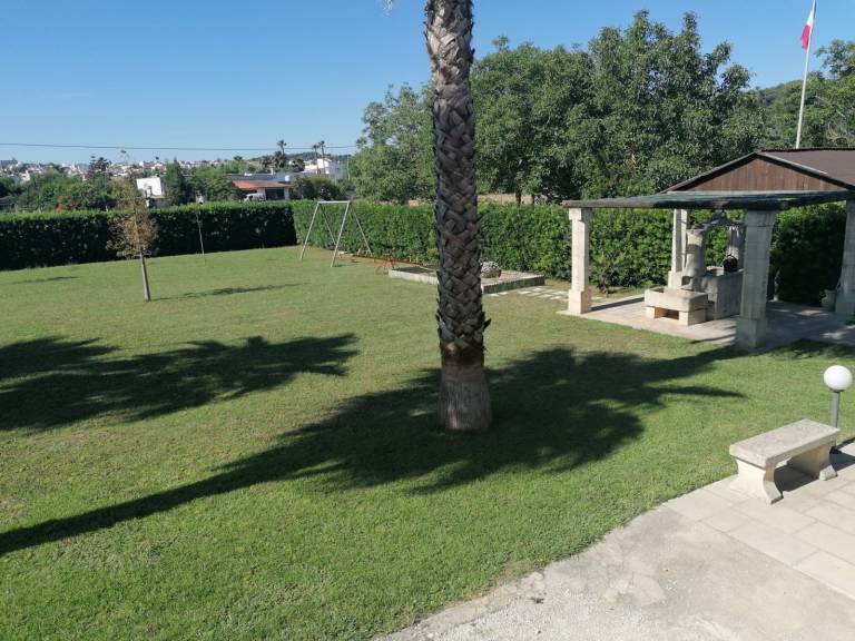 foto11