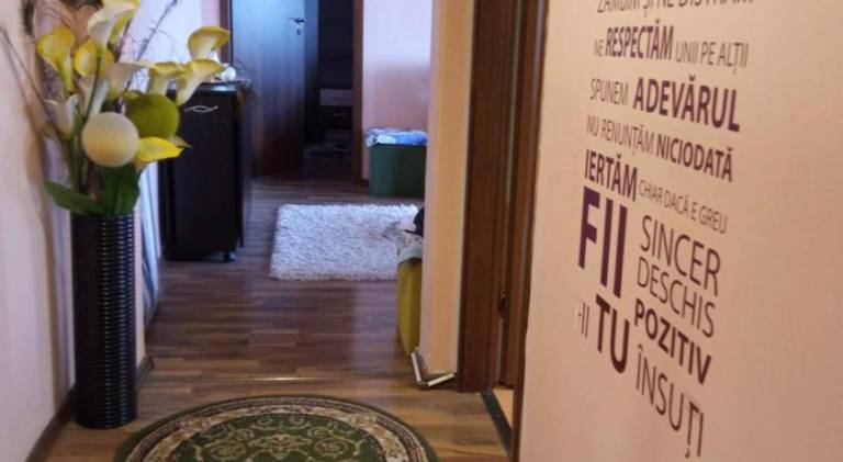 Beautiful rental apartment | Pets allowed — photo 4
