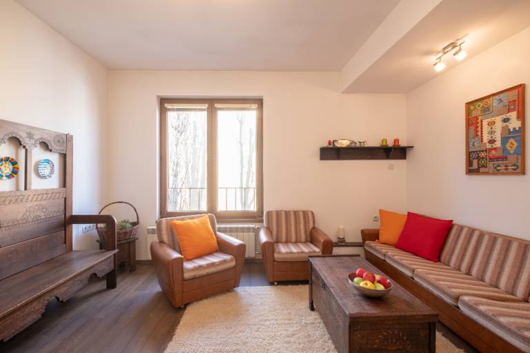 Comfortable apartment in the city center