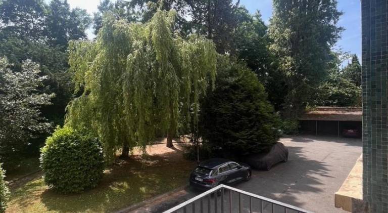 foto18